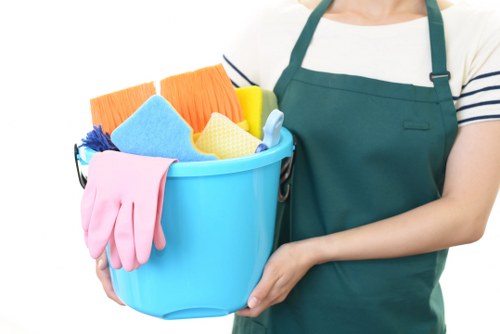 Illustration for accessible Cleaners Hepherdsbush services