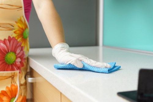 Local sofa cleaning service for residential and commercial seating