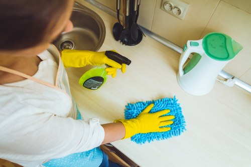 Deep cleaning service for pet odour removal in a West London flat