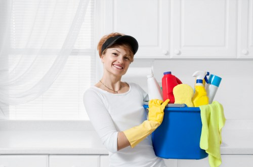 Deep cleaning and maintenance for shared business spaces in Hepherdsbush