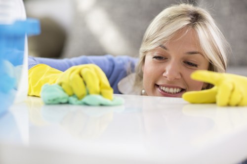 Professional cleaner working in a home during service