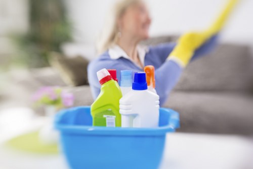 Screen-reader support for Shepherdsbush cleaners website