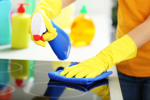 Commercial rug cleaning for offices and businesses near Shepherdsbush
