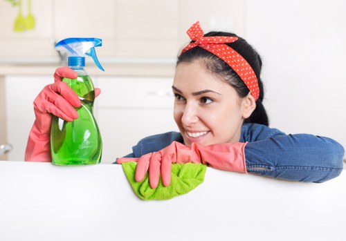 Professional one off cleaning in Hepherdsbush for local homes and flats