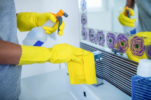 Professional window cleaning for flats and commercial properties in Hepherdsbush