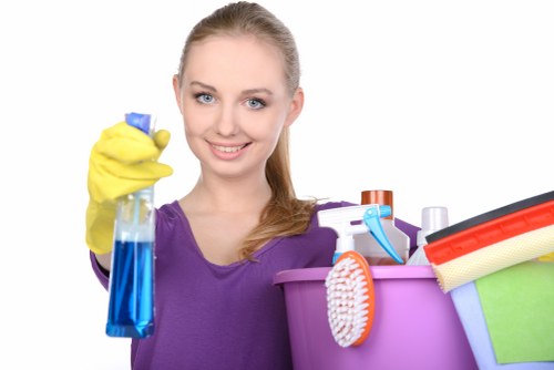 Clean residential windows and frames in West London