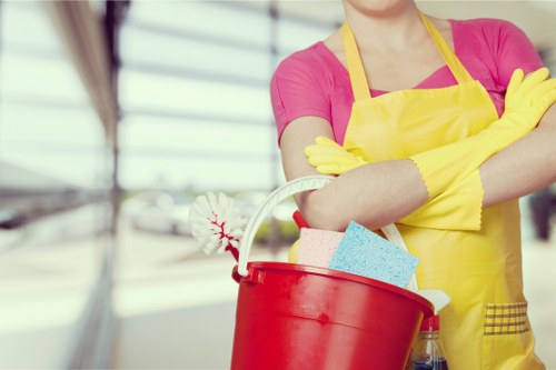 Regular house cleaning for a busy Hepherdsbush household
