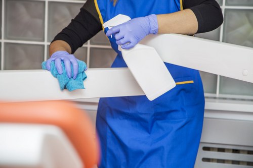 Detailed cleaning service in a modern Shepherdsbush interior